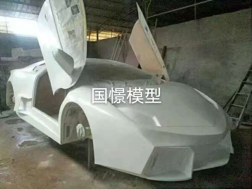 丹寨县车辆模型